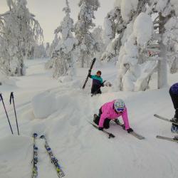 Laskettelusukset voivat olla haastavat kulkuvälineet keskellä metsää...